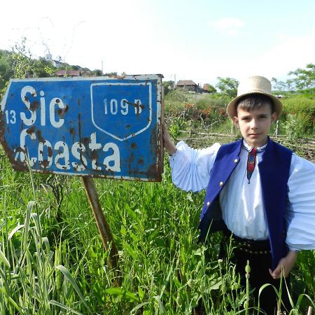 Csipkeszeg Bed & Breakfast Sic / Szek Romania Luaran gambar