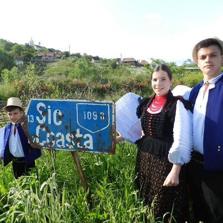 Csipkeszeg Bed & Breakfast Sic / Szek Romania Luaran gambar