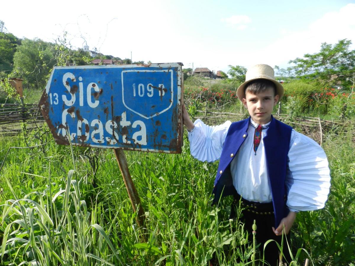 Csipkeszeg Bed & Breakfast Sic / Szek Romania Luaran gambar