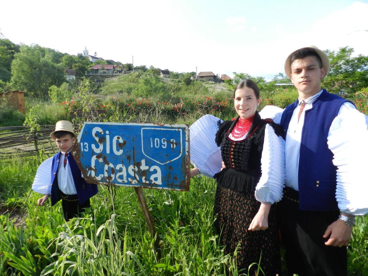 Csipkeszeg Bed & Breakfast Sic / Szek Romania Luaran gambar
