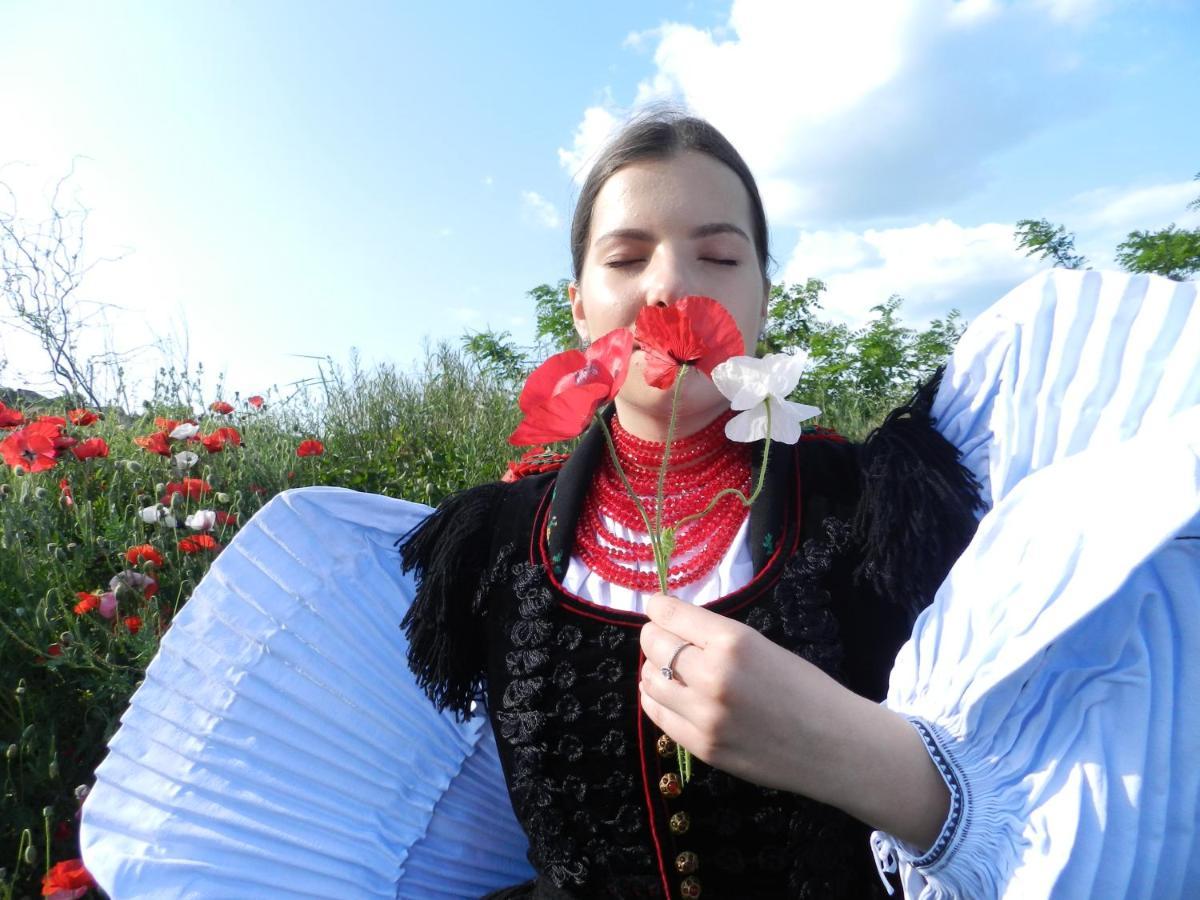 Csipkeszeg Bed & Breakfast Sic / Szek Romania Luaran gambar