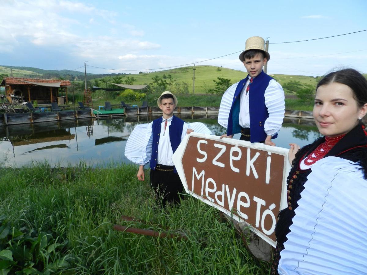 Csipkeszeg Bed & Breakfast Sic / Szek Romania Luaran gambar