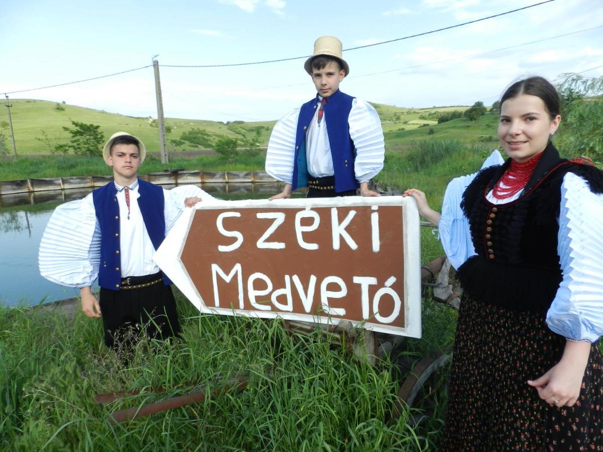 Csipkeszeg Bed & Breakfast Sic / Szek Romania Luaran gambar