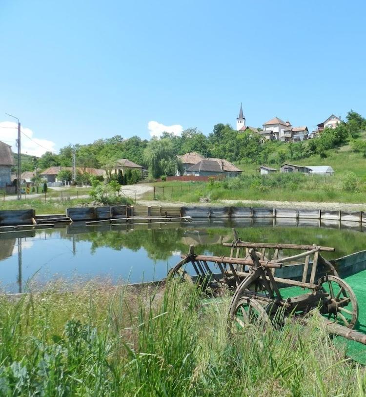 Csipkeszeg Bed & Breakfast Sic / Szek Romania Luaran gambar