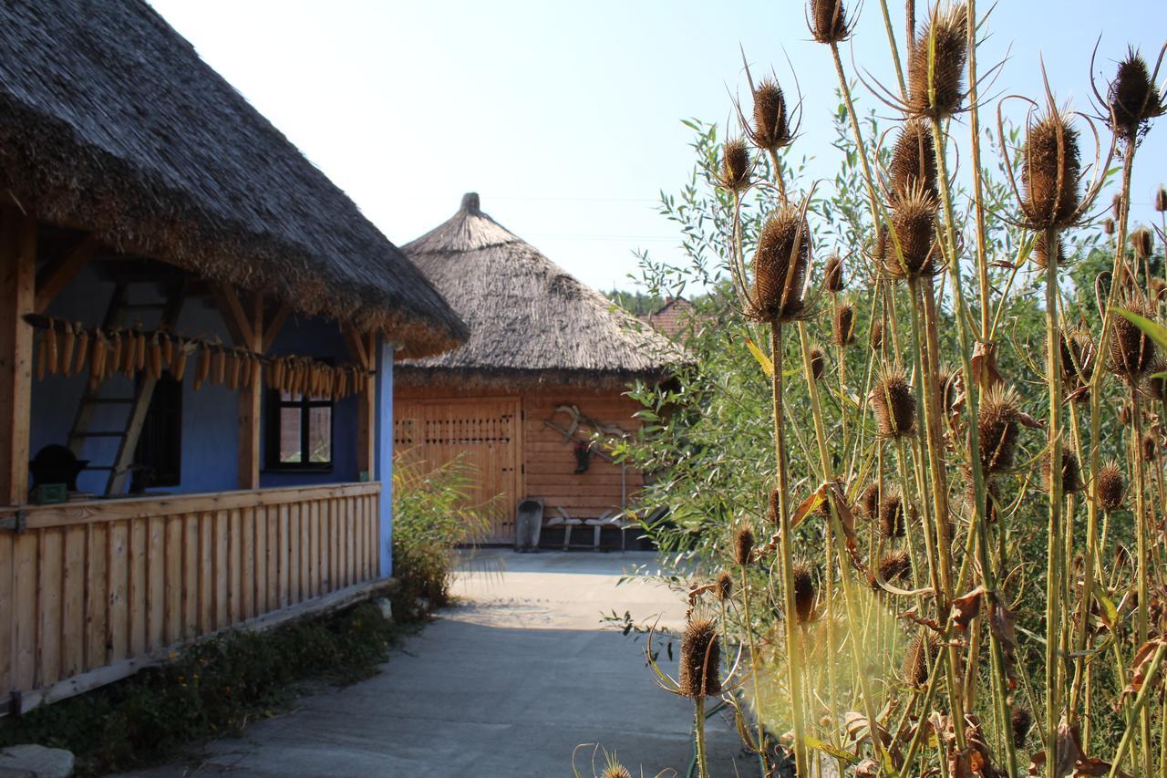 Csipkeszeg Bed & Breakfast Sic / Szek Romania Luaran gambar