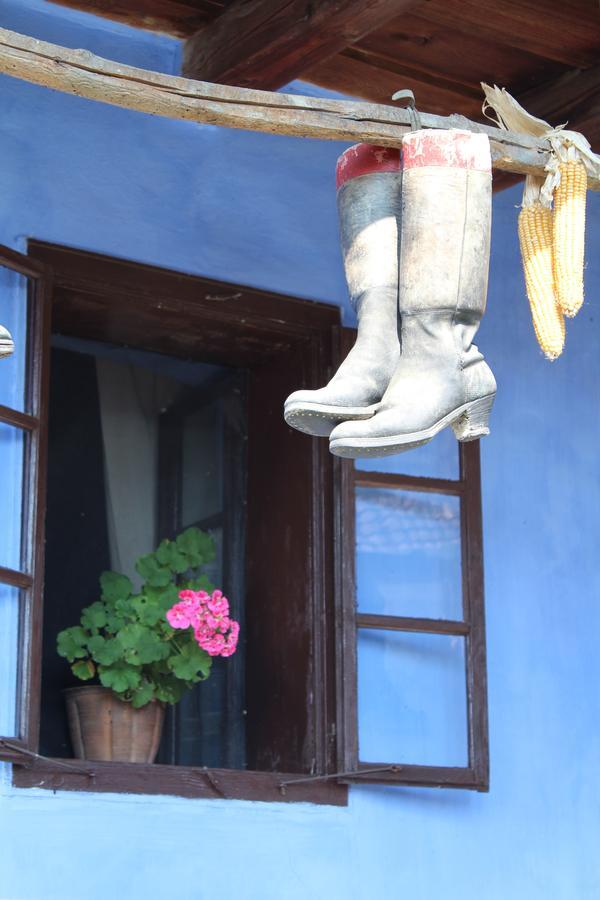 Csipkeszeg Bed & Breakfast Sic / Szek Romania Luaran gambar
