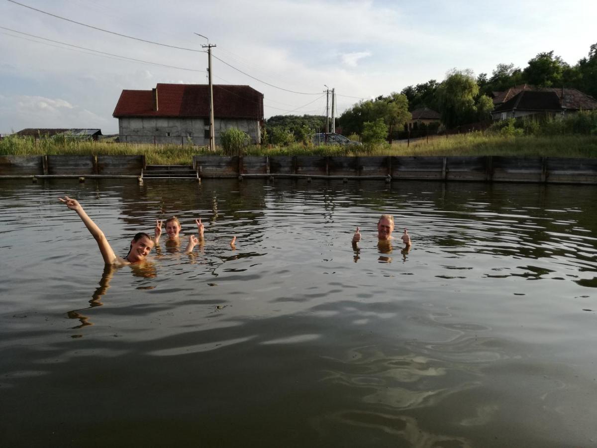 Csipkeszeg Bed & Breakfast Sic / Szek Romania Luaran gambar